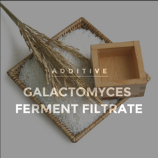 비피다발효여과물