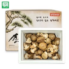 젊은 농부 무농약 송화버섯 일반형 명절 설 추석 선물세트, 1개, 1kg