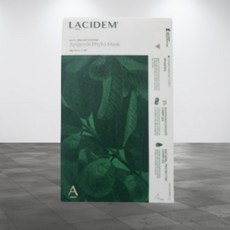 라시뎀 오튜이뮨시스템 아피제닌 피토마스크 450g x 4장 1box