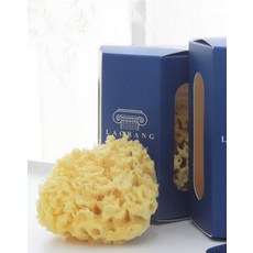 라그랑천연해면