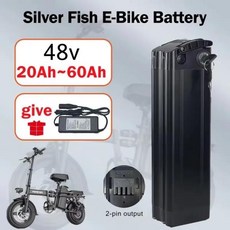 Citycoco 전기 스쿠터 배터리 48V 100% 250W ~ 오토바이 자전거 방수 리튬 2A, 01 60ah-Charger