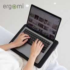 에르고미랩데스크