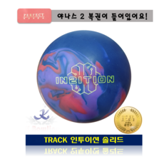 인튜이션퍼펙트