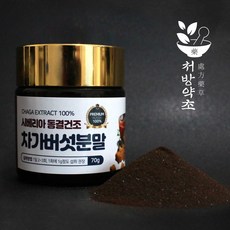 암예방효소