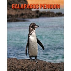 Galapagos Penguin: Fun Facts & Cool Pictures Paperback, Independently Published, English, 9798564336543