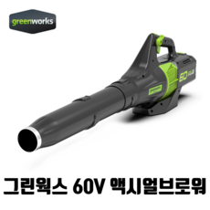 그린웍스 60V 전동 브로워 전기 무선 송풍기 제설 세차