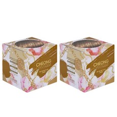 청담스타일 포레스트 더 살롱 컬러 엑스퍼트 자연 갈색 x 2개