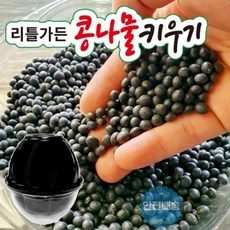 리틀가든콩나물
