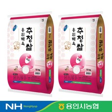 [2020년산] 용인 백옥 추청쌀 20kg, 단품