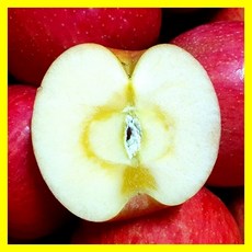 [최상등급] 달콤시원한 청송 얼음골 꿀 사과, 부사사과, 정품-중과(16~17과)4.5kg