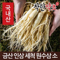 착한약초 금산 인삼 50종 수삼 삼계용 인삼주키트 선물세트, 1개, 1I9L_금산 인삼 세척 원수삼 소 750g