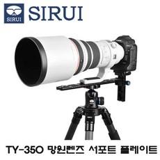 시루이망원