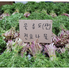 전호나물 1Kg 울릉도나물 바디나물 자연산, 1개