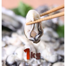 추천5 햇굴