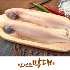 영양가득 군산 박대 서대 반건조생선 생선구이 박대요리, 대 8마리