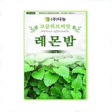 레몬밤키우기