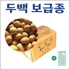 추천6씨감자