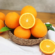 오렌지다이브리조트