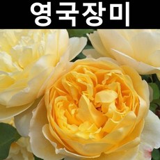11cf475310ddc63a3e8a28967ec27d6bcab412dd6b644605444a7c6804b6.jpg
