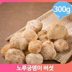 식용버섯