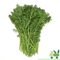 사라상회 쑥갓 8Kg, 1개