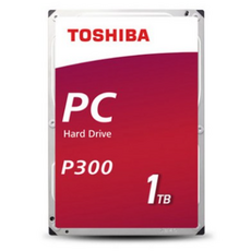 p300