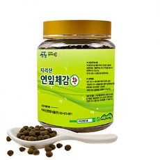 지리산한방식품 연잎체감 환 200g 지리산약초 전문, 1병