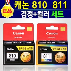 캐논810