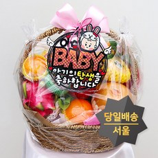 과일바구니 배달 출산 선물, 03 오~베이비(여아), 1개