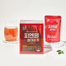 선재광 혈당 상승 억제에 좋은 피엔원 화이바액 혈당케어, 피엔원 화이바액 80g x 10포