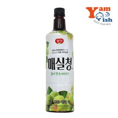 광야식품 매실청 음료베이스, 970ml, 15개