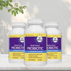 이노빅스랩스 멀티 스트레인 프로바이오틱스 500억 유산균 60캡슐, 3개, 60정