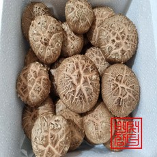 국산생표고버섯
