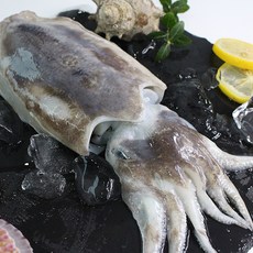 친환경팔도 [산지직송] 여수 생물 갑오징어 1마리, 단품