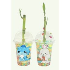 호야키우기 TOP01