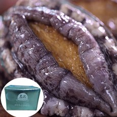 해신수산 프리미엄 완도활전복 특대 선물세트 14마리 1.56kg 부직포포장, ONE COLOR, ONE SIZE, 1개