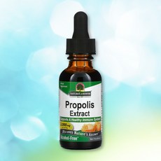 네이처스앤서 프로폴리스 리퀴드 알콜프리 2000mg 30ml 1병 플라보노이드, 1개