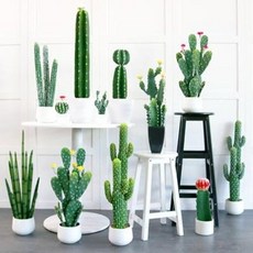 꽃 조화 예쁜꽃 선물 식물분재 다육선인장 분경 북유럽 프레쉬 홈 거실 장식 화록식 세팅, 11 황탑구선인장