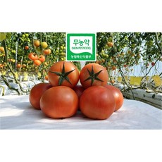 무농약토마토  더드림팜 무농약 완숙토마토 친환경토마토 2kg 5kg 10kg 1개 