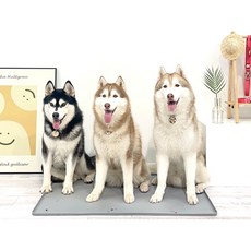  실리콘연구소 국내생산 특대형 대형견 강아지 실리콘 논슬립 배변판 대형 배변매트 애견화장실, 파스텔그레이 