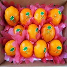 [제주직송] 제주 프리미엄 레드향 초고당도 가정용 선물세트, 1개, 레드향 선물세트 3kg