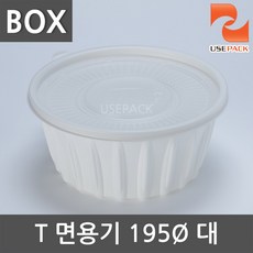 195파이대