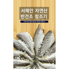 반건조두절파조기