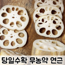 [당일수확] 무농약 연근 흙연근 세척연근 슬라이스연근 1kg 2kg / 무농약연근 국산연근 생연근 국산생연근, 1개
