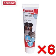  반려견용 고기맛 겔타입 치약 6개 8120 치약추천 덴탈 