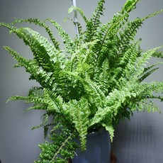 cf421004e15f9463052f8c430bfc4722dc8b0b0b3595cbc0059f93b27b7b.jpg