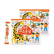 광동 NEW 키즈 홍삼 스틱 10g x30포 / 2세트, 300g, 2개