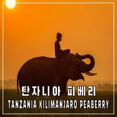 서울키자니아