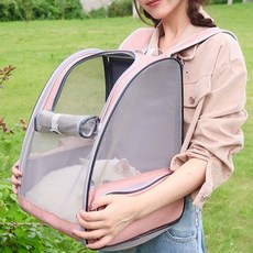 강아지배낭가방