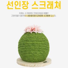 리빙듀오 탁펫 고양이 선인장 스크래쳐, 1개